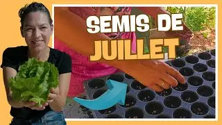 👩&zwj;🌾 Semis de juillet pour le potager
