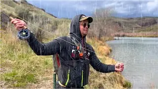 We are Going to Catch Brown Trout...IN THE RAIN (Fly Fishing)