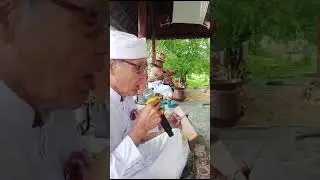 Mamutru