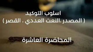 المحاضرة العاشرة التوكيد ( بالقصر ، النعت العددي ، المصدر ) 