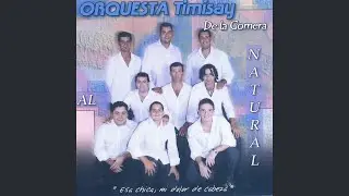 Bala Perdida