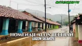 Luizon Sicairos - Homenaje A Los Beltran(corrido 2021)