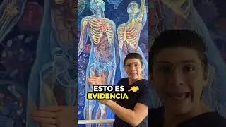 Tu MANO 👋 refleja tus niveles de TESTOSTERONA de esta manera #shorts
