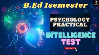 Psychology Practical File in Hindi//Intelligence Test //B.ed 1semester #practical #intelligence
