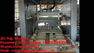 Bagasse pulp, sugarcane pulp Tableware Machine Line for making takeaway box carton plates