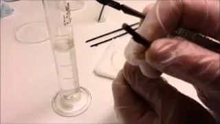 How to clone or take cuttings of Phalaenopsis using flower stems in multiplication medium