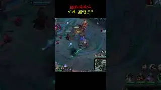 이게 AP챔프?