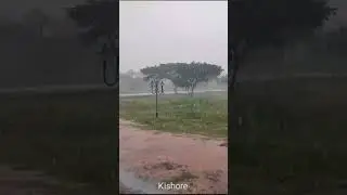 Heavy rain in Thiruvarur #shorts #heavyrain #thiruvarur #monsoon