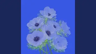 돌려주세요