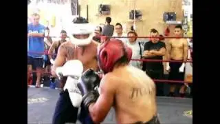 Wildcard Gym, Part II