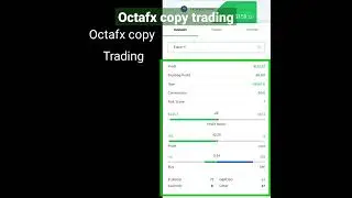 octafx copy trading app best master