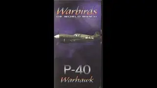 Warbirds of World War 2: P-40 Warhawk