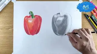 how to draw capsicum pencil sketch I part 2 I basic bell pepper drawing