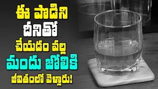 దీనితో మందు జోలికి మళ్ళీ వెళ్లారు! | Remedy For Alcohol