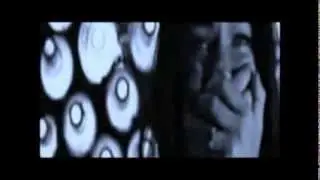 Fanmade Blood Warrior Book Trailer.wmv