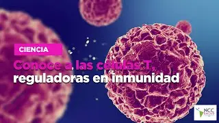 Conoce a las células T, reguladoras en inmunidad