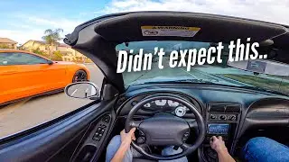 Whippl&rsquo;ed Cobra runs into NEW SHELBY GT 500