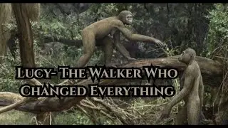 Australopithecus afarensis: The Walker Who Changed Human History