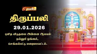 HOLY MASS TAMIL | 29 JANUARY 2026 | YEAR A | 6:00 AM | CHENGALPATTU | @madhatelevision​