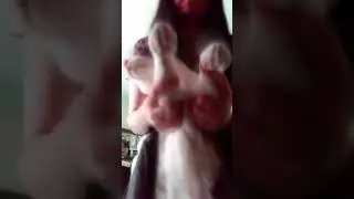 Dancing Cat in motion in 3D #cat #shorts #dancingcat