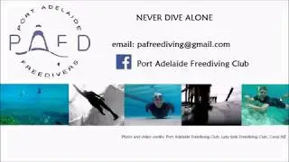 Adelaide Freedive Tribe (formerly Port Adelaide Freediving Club) Promotional Video