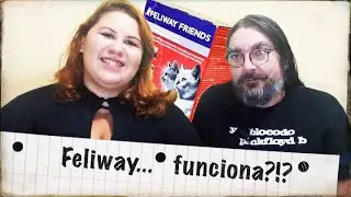 Resultados em 30 dias de Feliway friends na adapta&ccedil;&atilde;o dos nossos gatos.