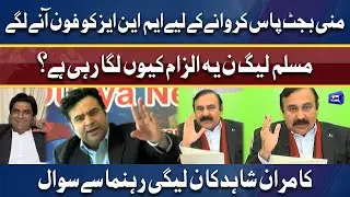 Mini Budget Pass Karwane Kay Liye PMLN Kay MNA's Ko Phone Aane Lage?