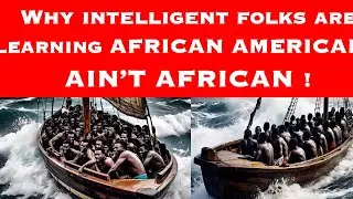 Why Intelligent Folks Are Learning That African Americans Ain't African...