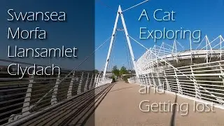 Swansea, Morfa, Llansamlet, Clydach - Cats, Exploring and Getting Lost