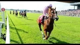 2019 UK Horse Racing _ Irish Derby _ Full Commentary