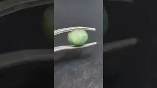 20241126 161122