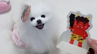 【節分】愛犬と一緒に鬼退治をしました
