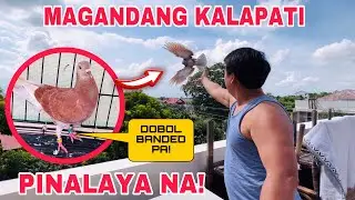 EP427 - BUMULUSOK NA KALAPATI NAPAKA GANDA PALA!