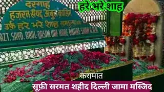 hare bhare Shah Baba Dargah Delhi Jama Masjid हरे भरे शाह दिल्ली sufi samrat shaheed YasinAnsari