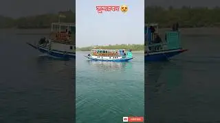 Sundarbon Boat Safari😍। সুন্দরবন বোট সাফারি 😍। Amazing Natural View of Sundarban।#shorts  #sundarban