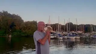 Conch Horn
