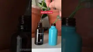 Reusing serum bottles for propagation