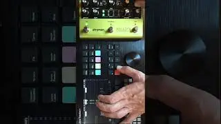 Jungle « Echo Jam » #stazma #tracker #fxpedals