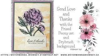 Prized Peony Love & Thanks card