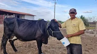Tá perto de chover.