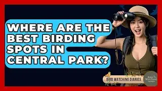 Where Are The Best Birding Spots In Central Park? - Bird Watching Diaries