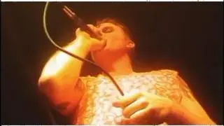 Dog Fashion Disco - Love Song For A Witch (Official Music Video)