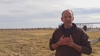 Dancing Goats Farm: An Alex Community Food Centre partner