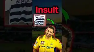 CSK fans 