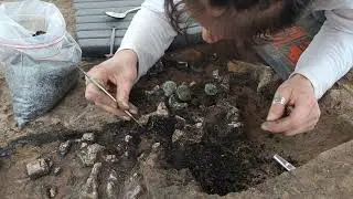 Lavish Roman Cremation Tomb Unearthed in France Reveals Clues to Deceased's Identity