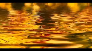 Gene Epstein on Gold, the Fed, and Money 06/02/2008
