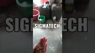 Fish Feed Plant Available cell.9604907828