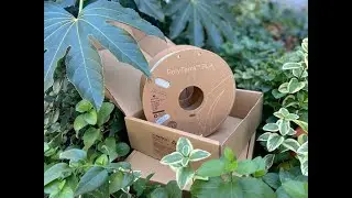 PolyTerra PLA の植樹活動について