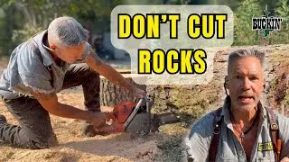 Learn Your Chainsaw, BIG LOG Bucking Techniques