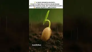 🌱 A SEED GROWS IN SILENCE.... #shorts #viral #growth #success